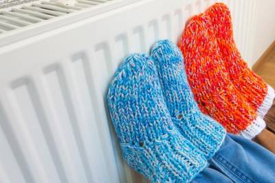 2 миллиона семей Германии заплатят в 2021 году за тепло больше