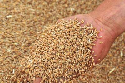 Украина экспортировала около 30 миллион тонн зерна