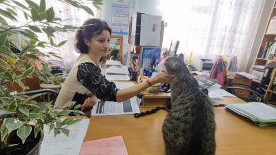 Кот-чиновник более 10 лет служит в администрации Невинномысска.