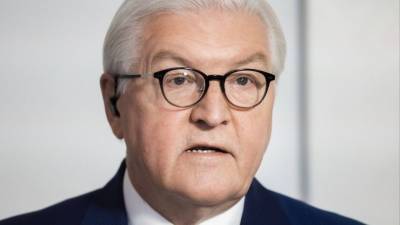 Украинский посол обвинил президента Германии в поддержке России