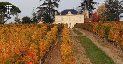Французские виноделы придумали, как защитить урожай от града. Для этого нужны надувные шарики и высокоточный радар