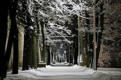 Гололедицу и -18 градусов мороза обещают псковские синоптики 8 февраля