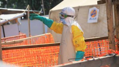 В Африке зафиксирован новый случай смерти от лихорадки Эбола