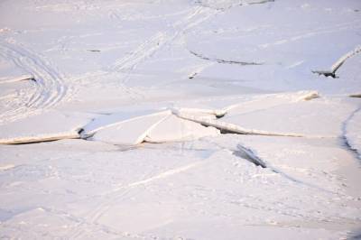 Три ребенка провалились под лед на реке в Воронежской области