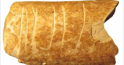 Люди общались с помощью эмодзи еще 120 тыс. лет назад, - ученые