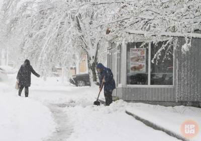 В Украине начинается адская неделя: морозы до -24, ветер метели и гололед