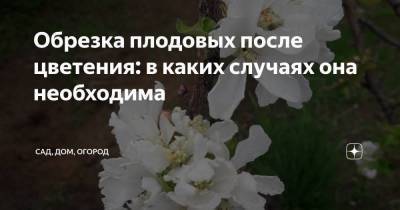 Обрезка плодовых после цветения: в каких случаях она необходима - skuke.net - Волгоградская обл.