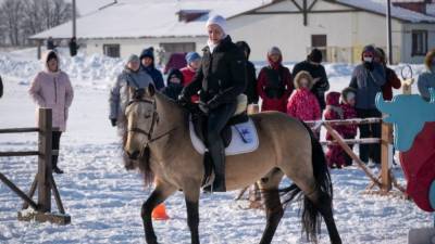 К новой дисциплине готовы: лошади Куликова поля осваивают рабочую выездку