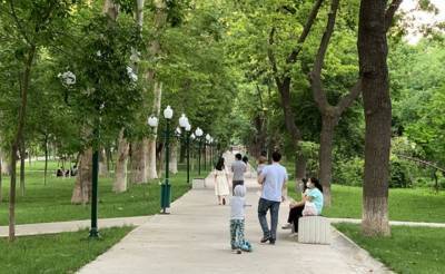 Ташкентцы начали сбор подписей за защиту парка возле ЦУМа