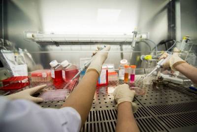 Российская продуктовая сеть открыла собственную микробиологическую лабораторию nbsp