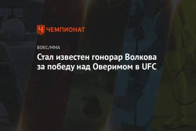 Александр Волков - Алистар Оверим - Стал известен гонорар Волкова за победу над Оверимом в UFC - championat.com - Голландия
