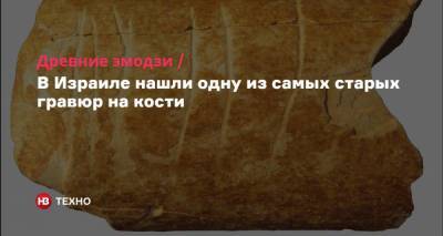 Древние эмодзи. В Израиле нашли одну из самых старых гравюр на кости