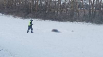 Замерз: очевидец рассказал о гибели человека под Нижним Ломовом