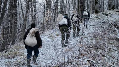 Пропавшая в горах Чечни группа людей найдена