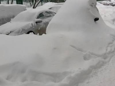 Синоптики предупредили о рекордном снегопаде в Москве