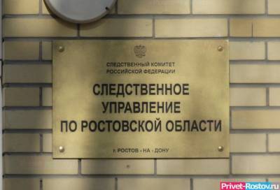 Следователи разбираются в смерти 13-летней школьницы в Ростове