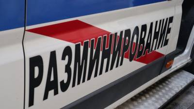 Школу в Самарской области перевели на дистанционное обучение из-за сообщения о минировании