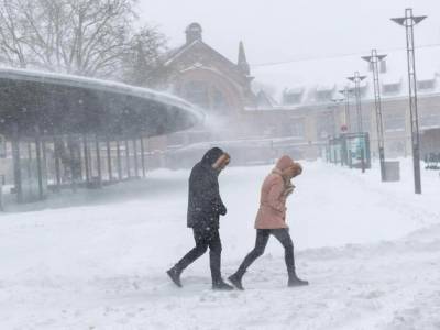 Снежный хаос в Германии: дороги перекрыты, ничего не работает