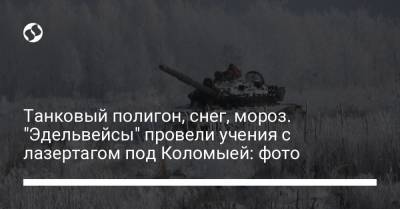 Танковый полигон, снег, мороз. "Эдельвейсы" провели учения с лазертагом под Коломыей: фото