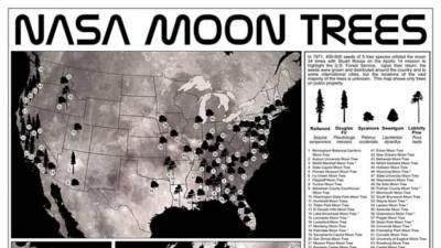NASA опубликовало карту «лунных» деревьев