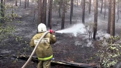 В России началась подготовка к сезону лесных пожаров