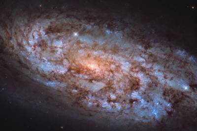 Hubble сфотографировал уникальную галактику в созвездии Голубя