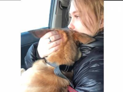 Месть по-южноуральски: челябинец избавился от собаки своей девушки
