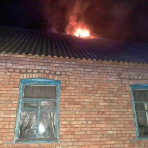 В Запорожской области 14 спасателей тушили пожар в частном доме. Фото