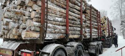 Таможенники в Карелии выявили контрабанду леса почти на 1,9 млн рублей