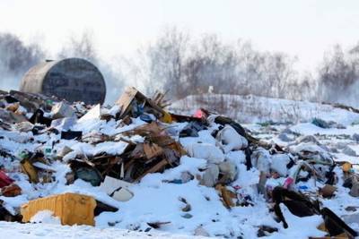 В Магнитогорске нашли голову человека на свалке бытовых отходов