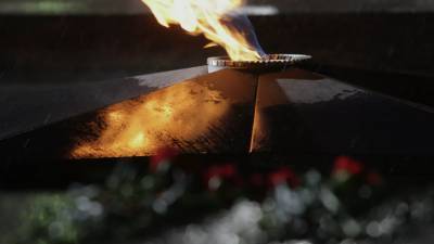 Школьники погасили Вечный огонь на мемориале Неизвестному солдату в Петербурге