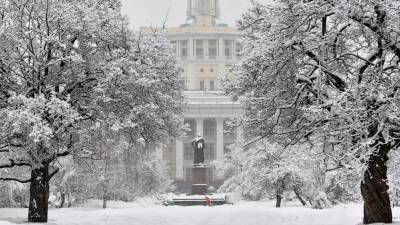 Синоптики предупредили москвичей о рекордных снегопадах