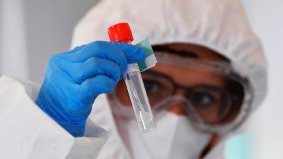 В Петербурге тест на коронавирус за сутки сдали более 12 тысяч человек