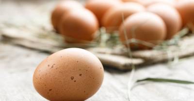 Куриные яйца взлетели в цене: почему стремительно растет стоимость