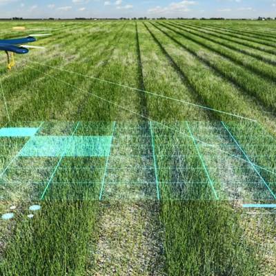 Росельхозбанк и МСХА создадут лабораторию для использования ИИ в сельском хозяйстве