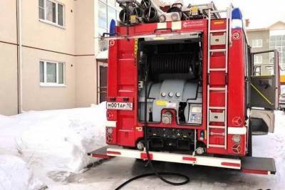 Карельские пожарные спасли пса, который отравился угарным газом