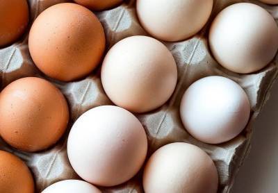 Смоленская птицефабрика запустила линию для выпуска мытых яиц