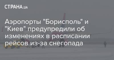 Аэропорты "Борисполь" и "Киев" предупредили об изменениях в расписании рейсов из-за снегопада