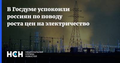 В Госдуме успокоили россиян по поводу роста цен на электричество