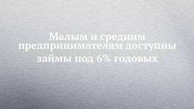 Малым и средним предпринимателям доступны займы под 6% годовых