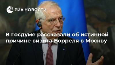 Жозепа Борреля - Сергей Лавров - Елен Панин - В Госдуме рассказали об истинной причине визита Борреля в Москву - ria.ru - Москва - Россия