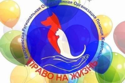 Костромской приют «Право на жизнь» ищет 230 тыс рублей, чтобы избежать закрытия
