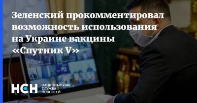 Зеленский прокомментировал возможность использования на Украине вакцины «Спутник V»