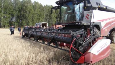 Россия не выполнит поручения Путина по наращиванию производства премиальной пшеницы - РЗС