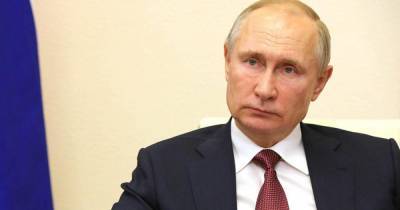 Путин поручил кабмину разработать программу в области экологии