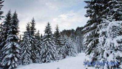 В Карпатах намело почти полутораметровые сугробы снега