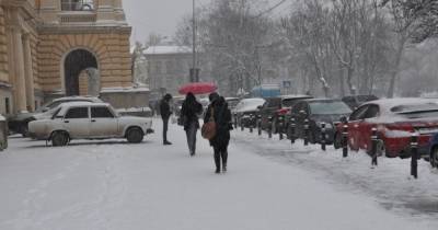 Погода в Украине: Садовый призвал жителей Львова помочь с уборкой снега