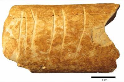 В Израиле нашли кость со старинной символической гравюрой