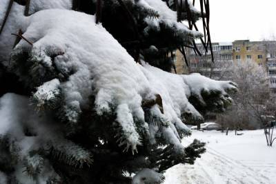 В Саратов идут снегопады и оттепель