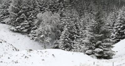 В Карпатах выпало более метра снега